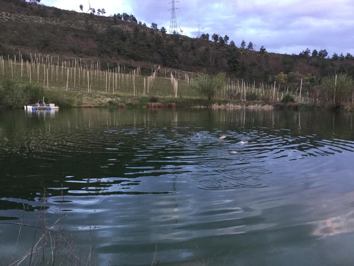 Quinta Bemboa Turismo Espaco Rural Aricera المظهر الخارجي الصورة