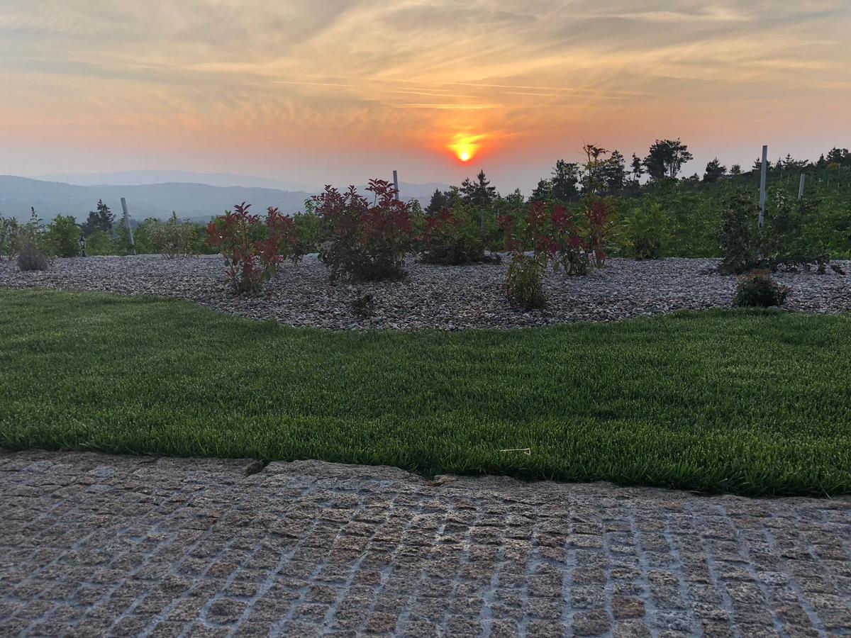Quinta Bemboa Turismo Espaco Rural Aricera المظهر الخارجي الصورة