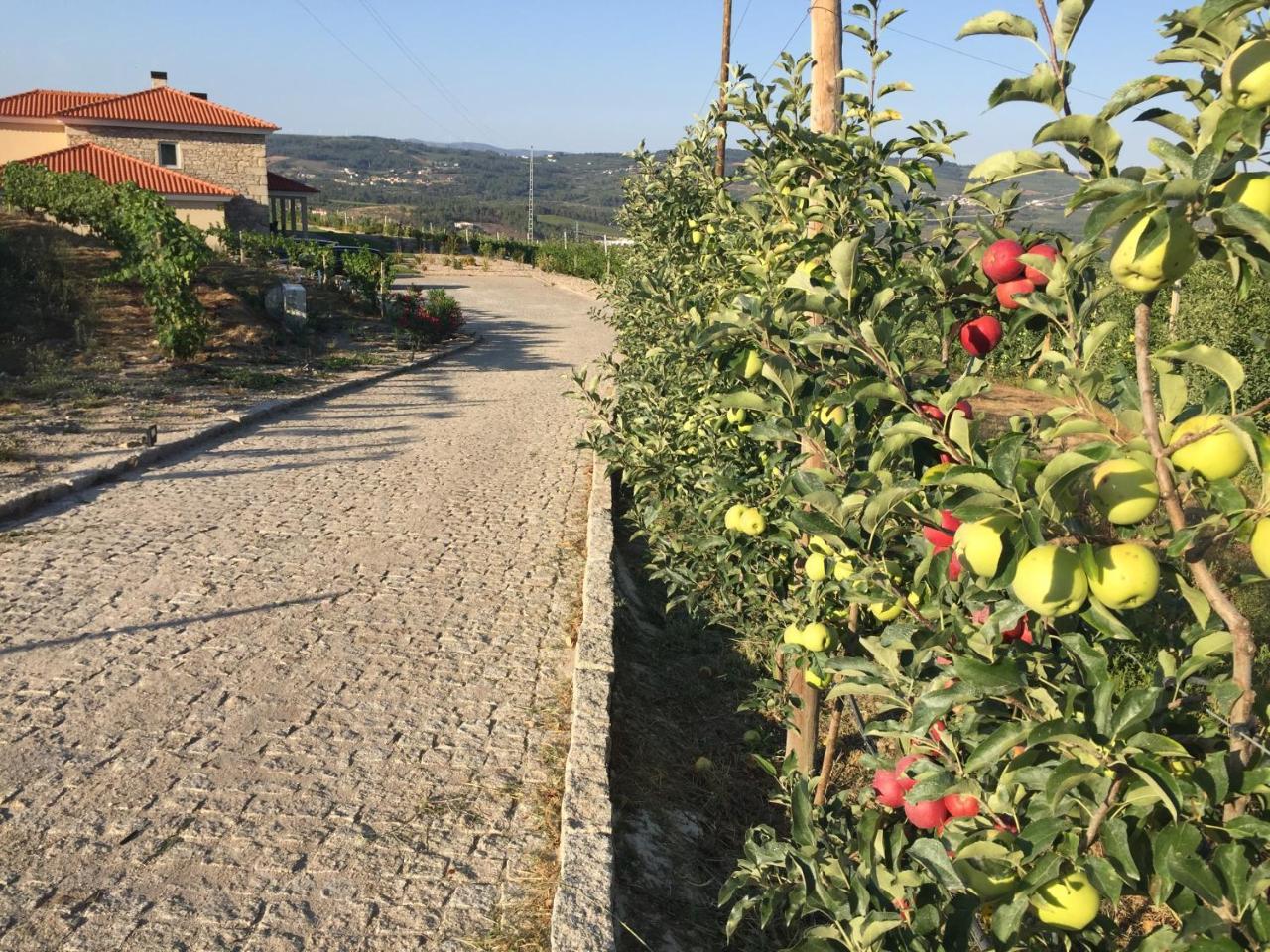 Quinta Bemboa Turismo Espaco Rural Aricera المظهر الخارجي الصورة