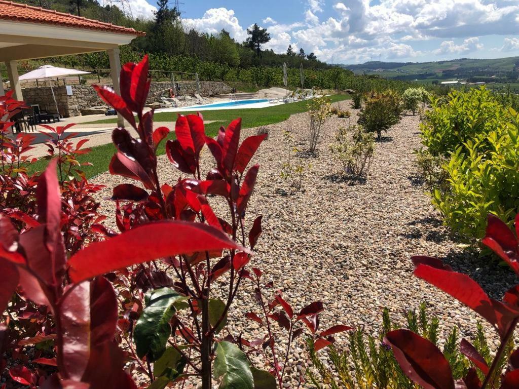 Quinta Bemboa Turismo Espaco Rural Aricera المظهر الخارجي الصورة