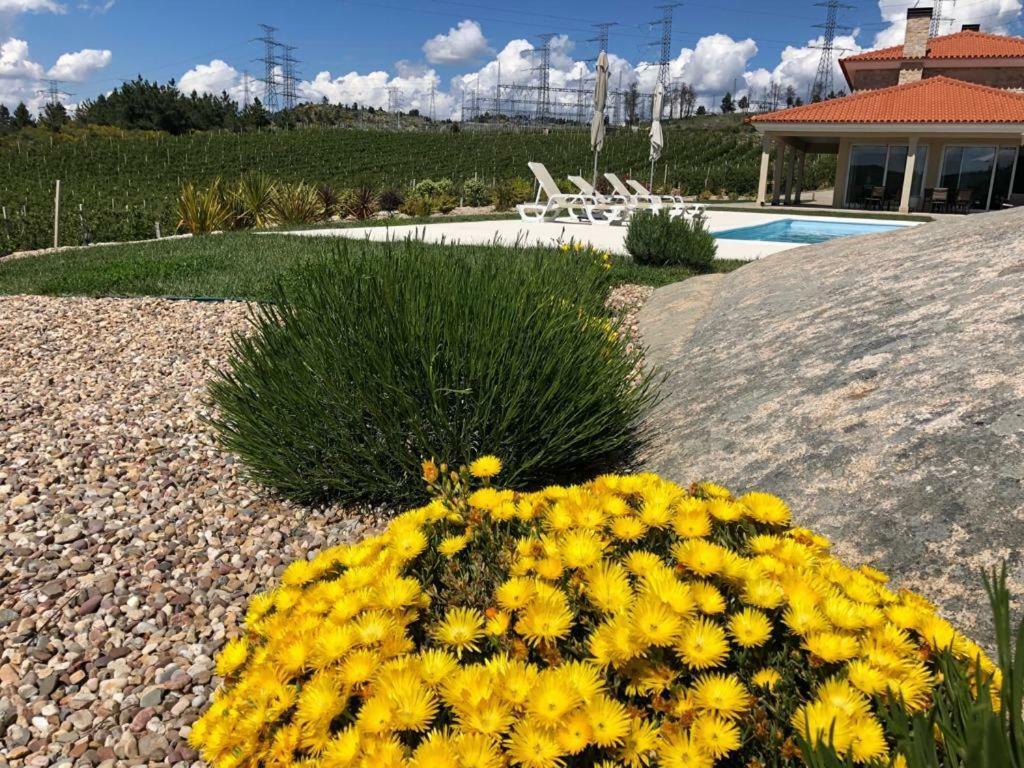 Quinta Bemboa Turismo Espaco Rural Aricera المظهر الخارجي الصورة